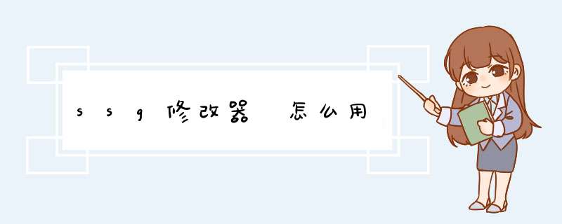 ssg修改器 怎么用